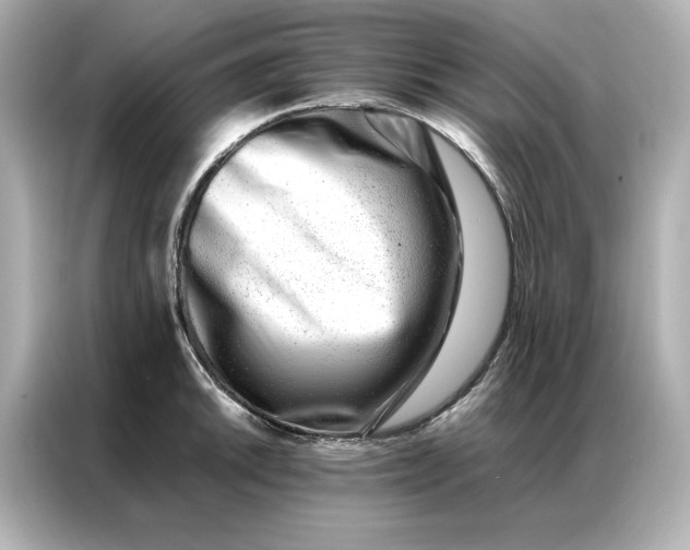 X0000086971046200704301253