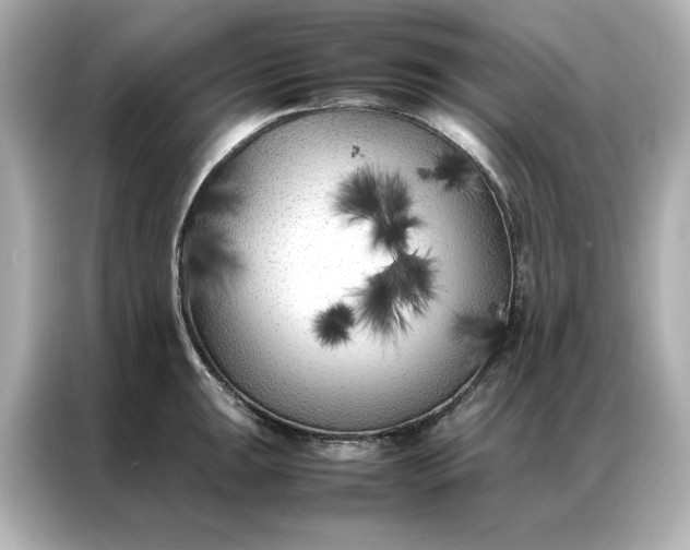 X0000086971047200704301254