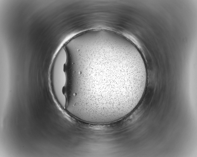 X0000086971048200704301254