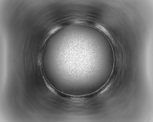 X0000086971049200704301254