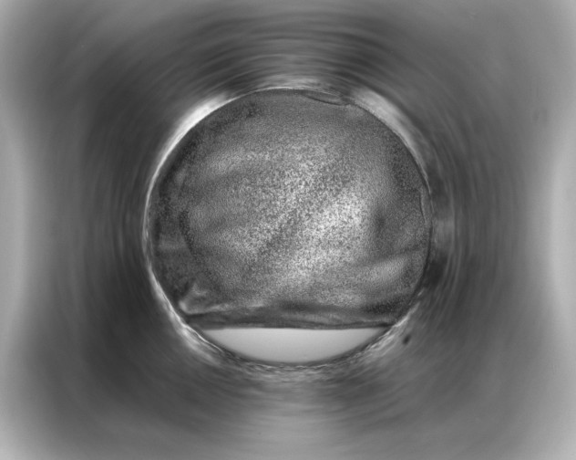 X0000086971050200704301254