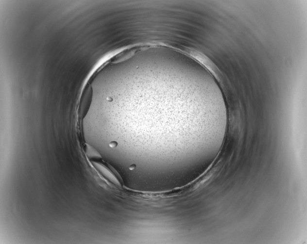 X0000086971052200704301254