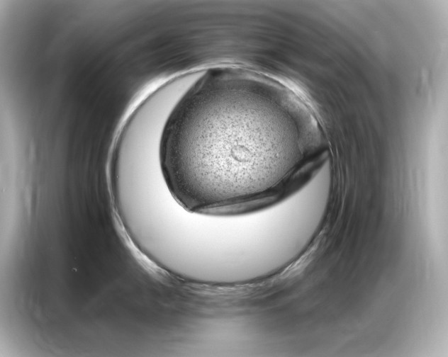 X0000086971054200704301254