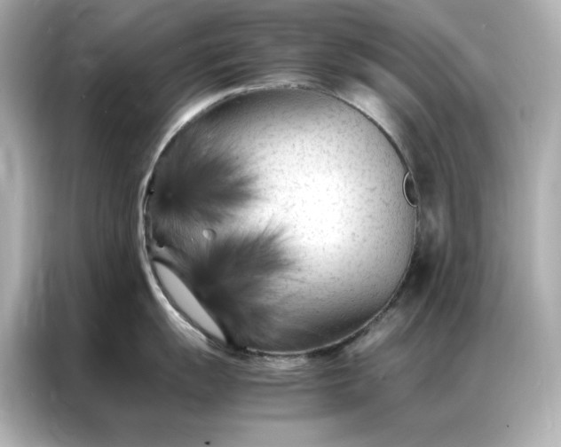 X0000086971055200704301254