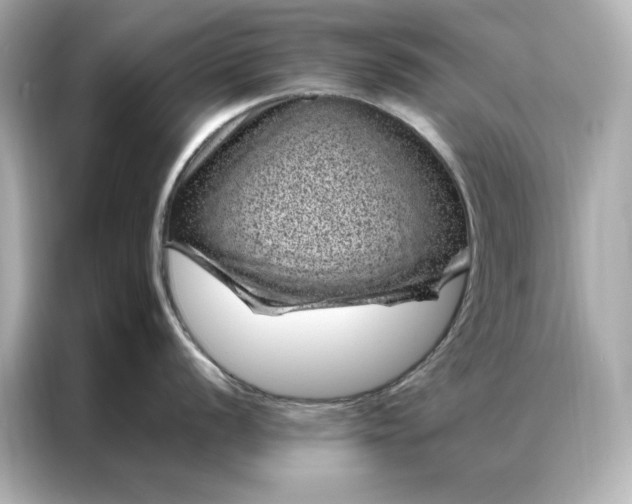 X0000086971056200704301254