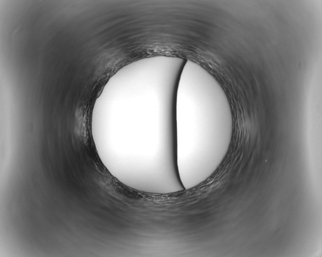 X0000086971060200704301253