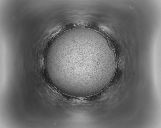 X0000086971061200704301253