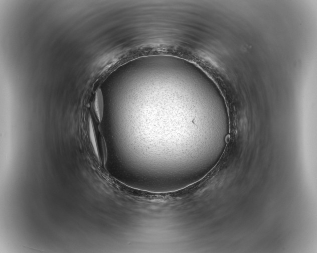 X0000086971062200704301253