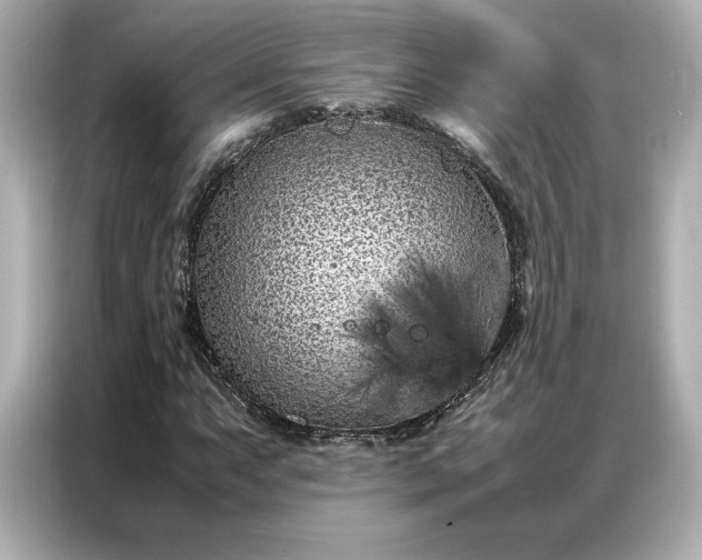 X0000086971063200704301253