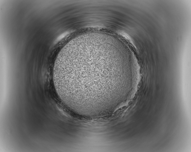 X0000086971064200704301253