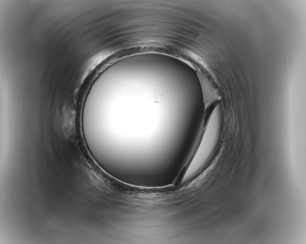 X0000086971066200704301253