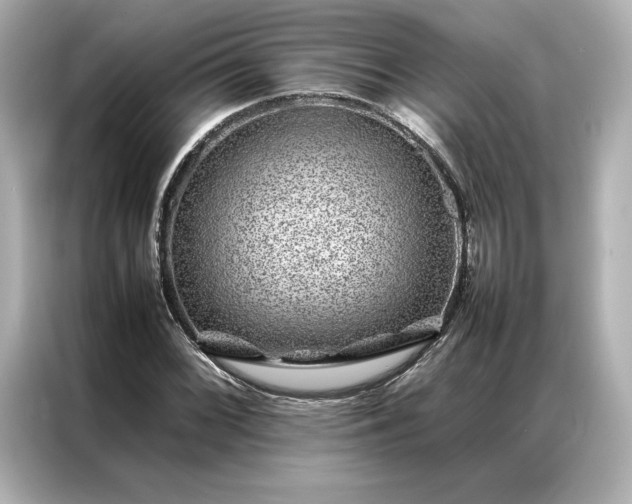 X0000086971068200704301253