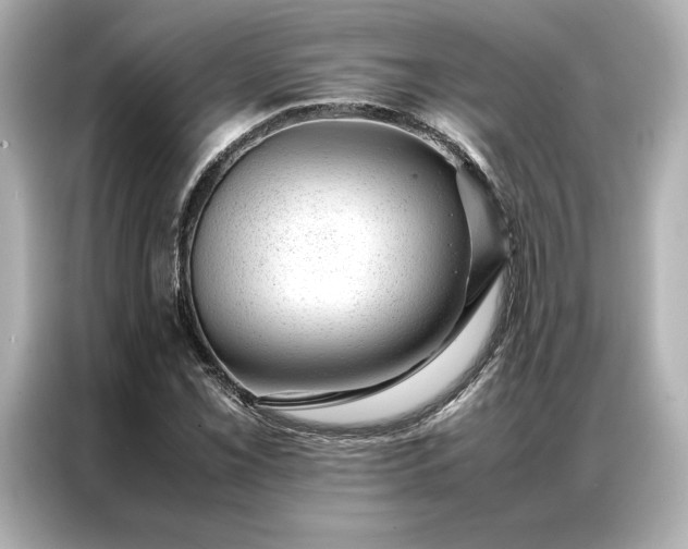 X0000086971069200704301253