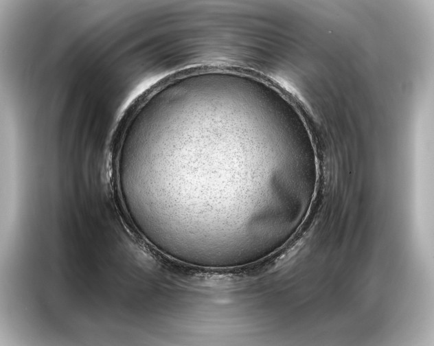 X0000086971070200704301253