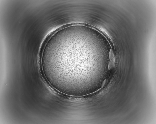 X0000086971072200704301253