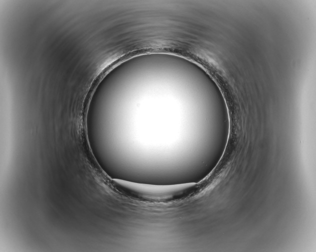 X0000086971073200704301253