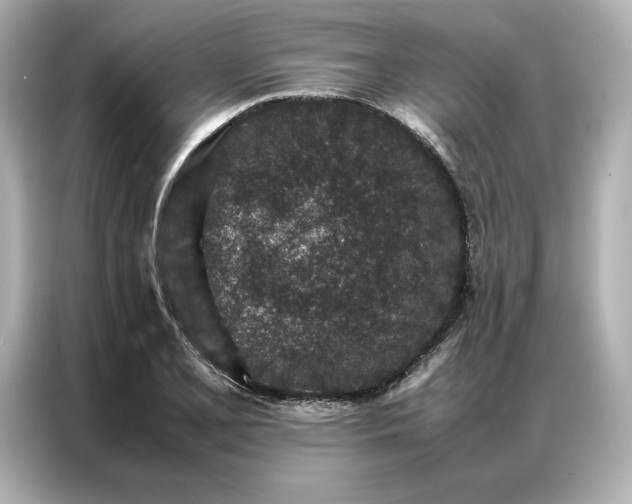 X0000086971077200704301253