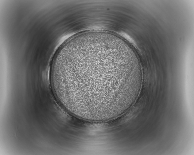 X0000086971078200704301253