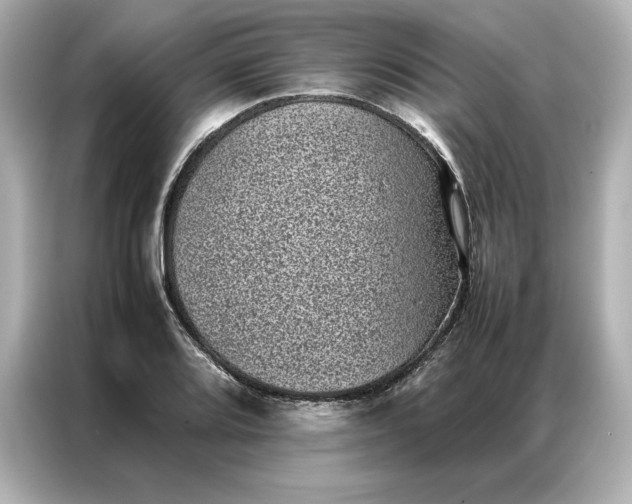 X0000086971080200704301253