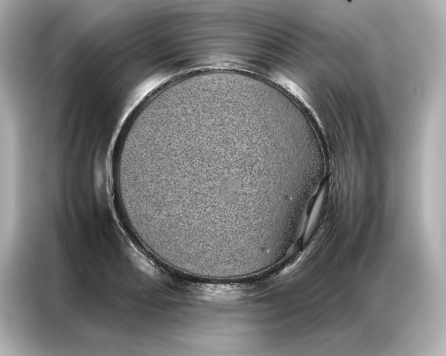 X0000086971082200704301253