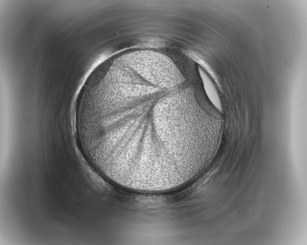 X0000086971083200704301253