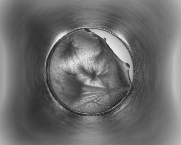 X0000086971087200704301253