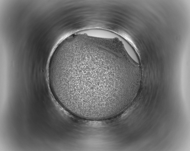 X0000086971088200704301253