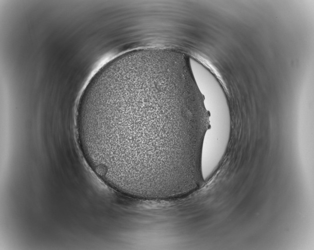 X0000086971091200704301253