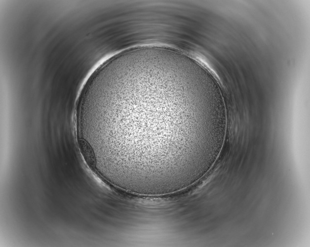 X0000086971092200704301253