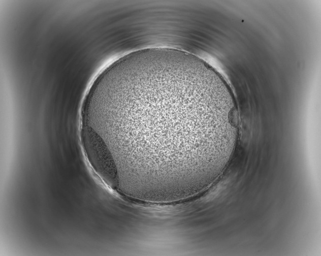 X0000086971096200704301252