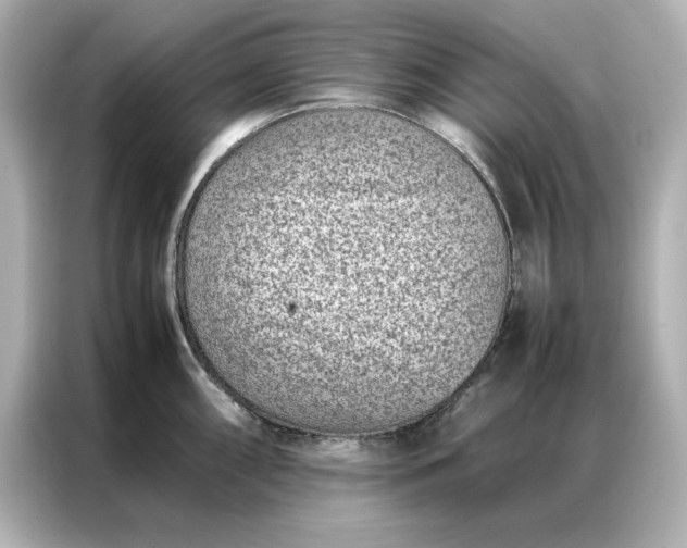 X0000086971098200704301252