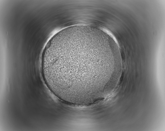 X0000086971099200704301252