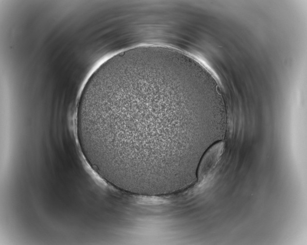 X0000086971100200704301252