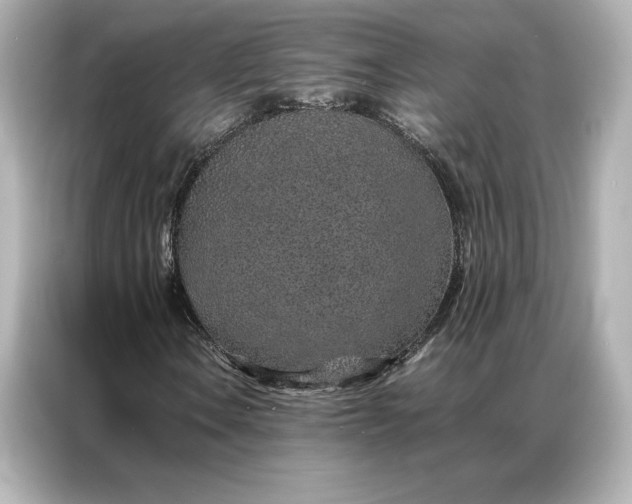 X0000086971106200704301252