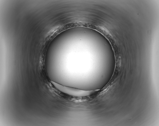 X0000086971110200704301252