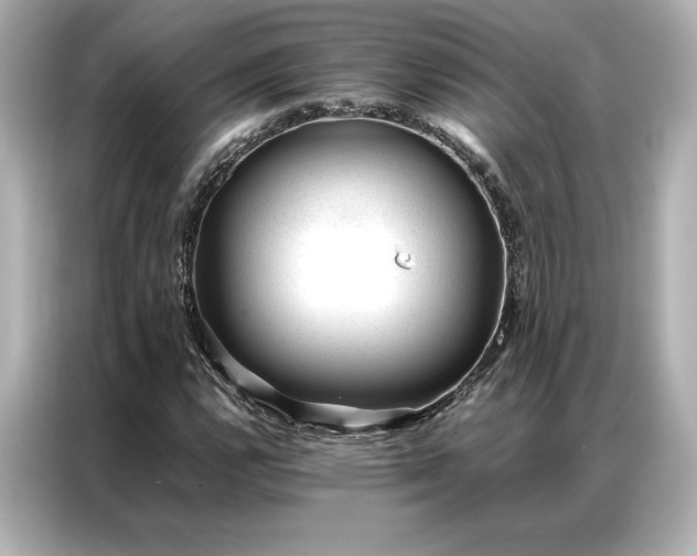 X0000086971112200704301252