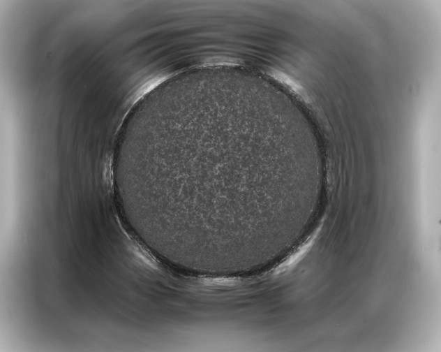 X0000086971113200704301252