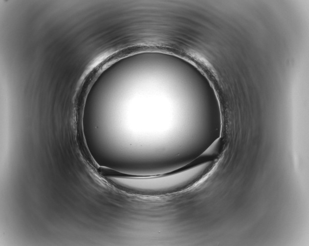 X0000086971114200704301252