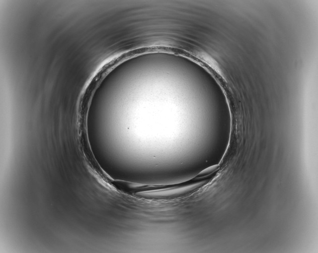 X0000086971116200704301252