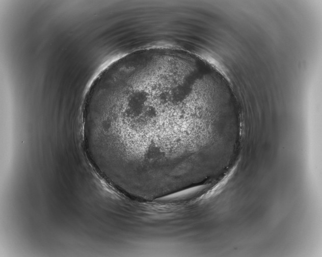 X0000086971117200704301252