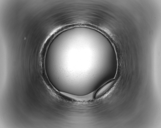 X0000086971118200704301252