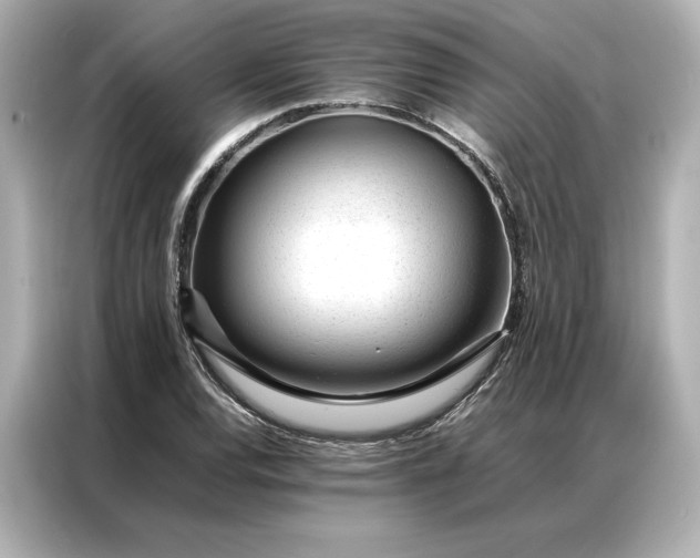 X0000086971120200704301252