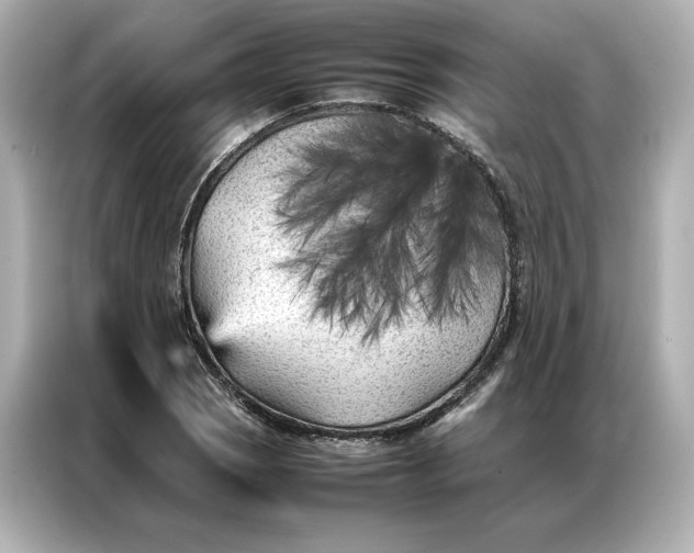 X0000086971121200704301252