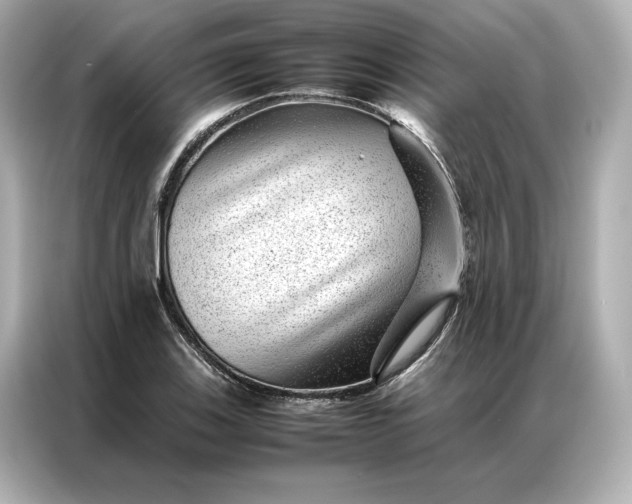 X0000086971123200704301252