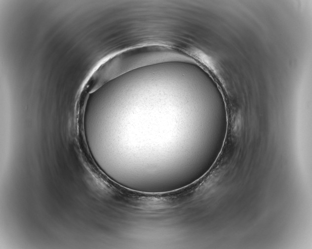 X0000086971124200704301252