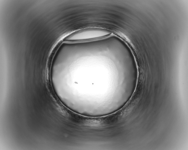 X0000086971125200704301252