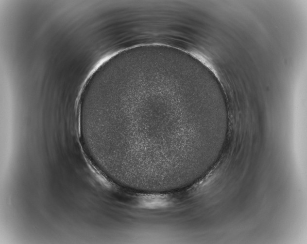 X0000086971127200704301252