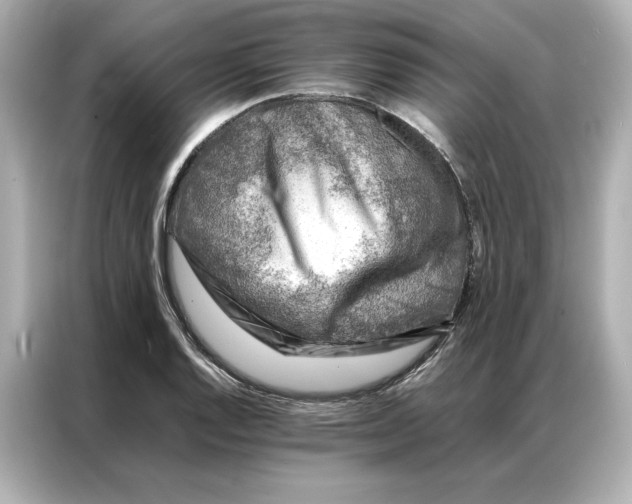 X0000086971128200704301252