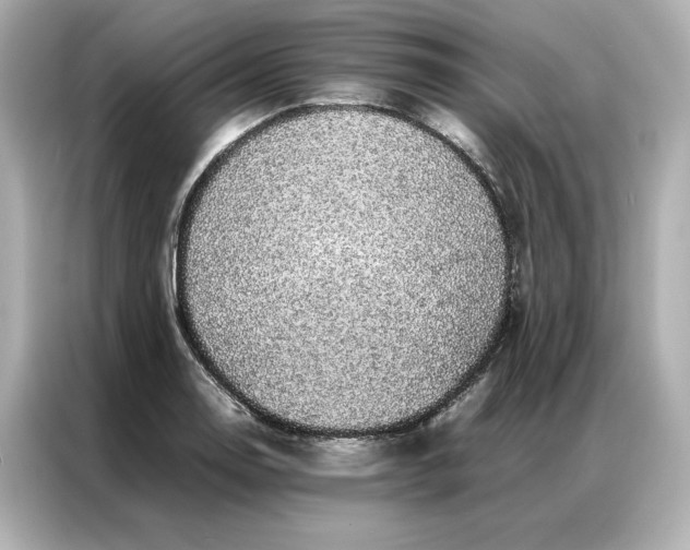 X0000086971130200704301252