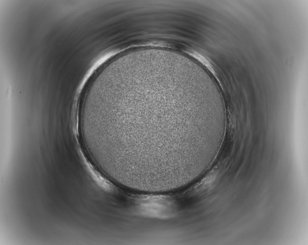 X0000086971131200704301252